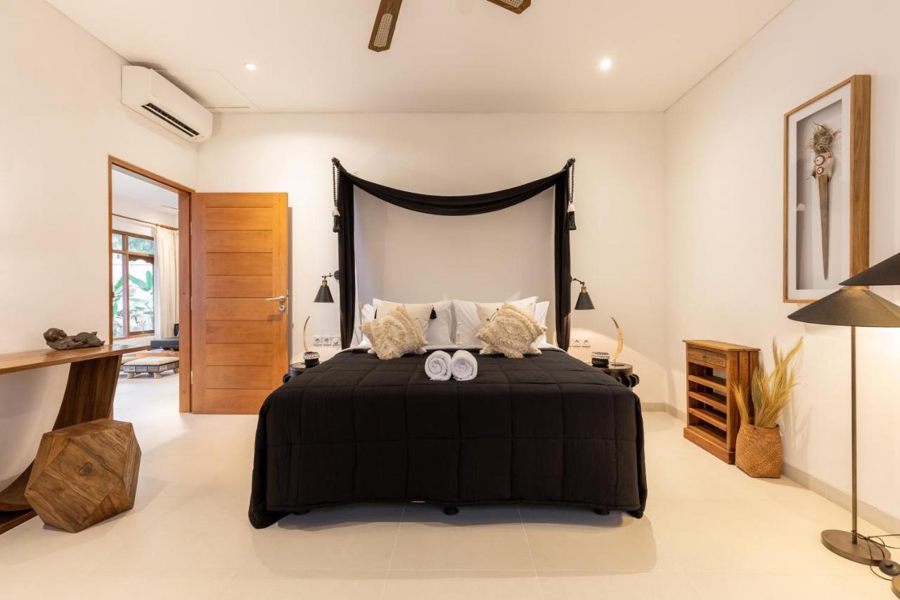 Luxury In Center W/ Natural Pool La Bohemia