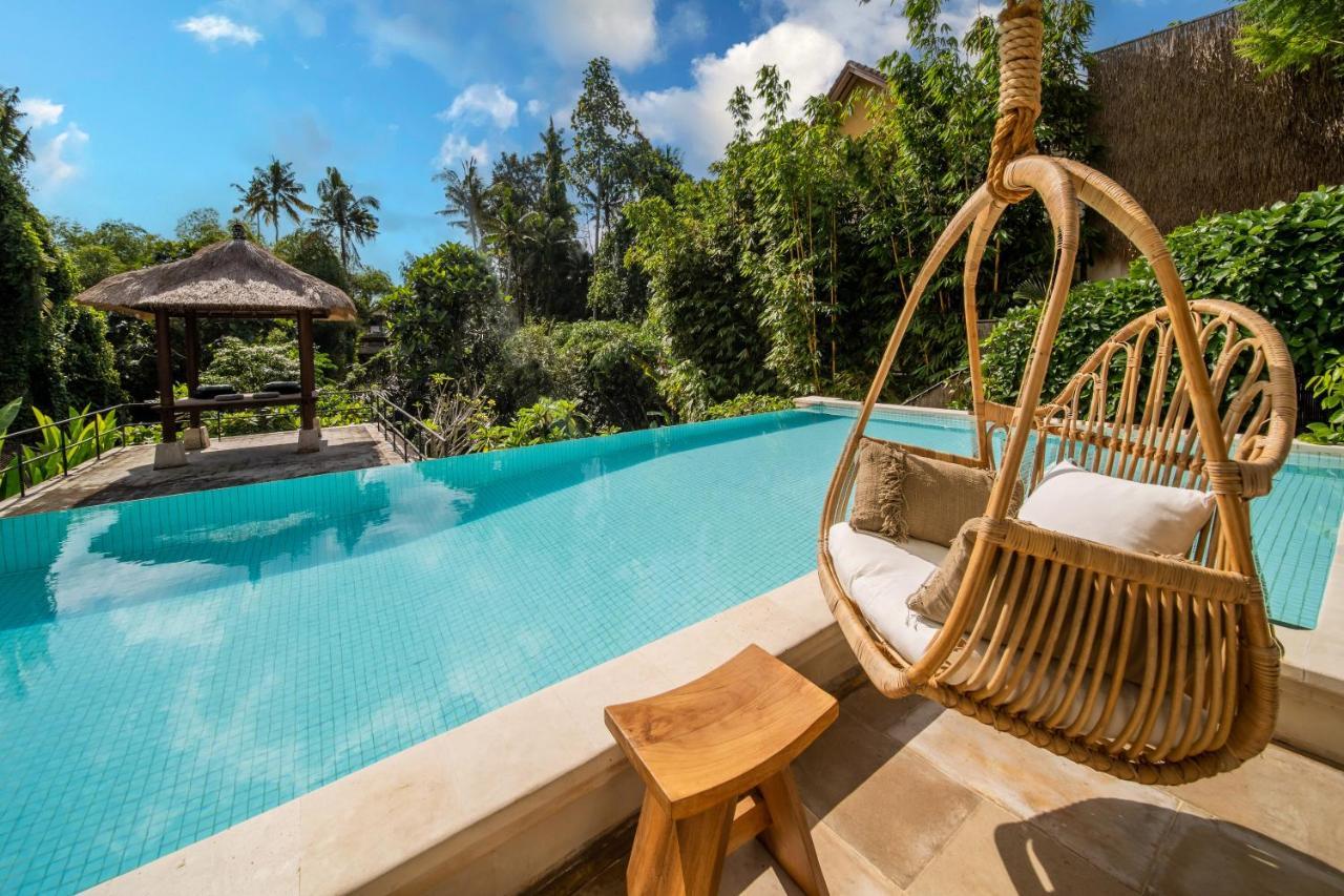 Luxury In Center W/ Natural Pool La Bohemia