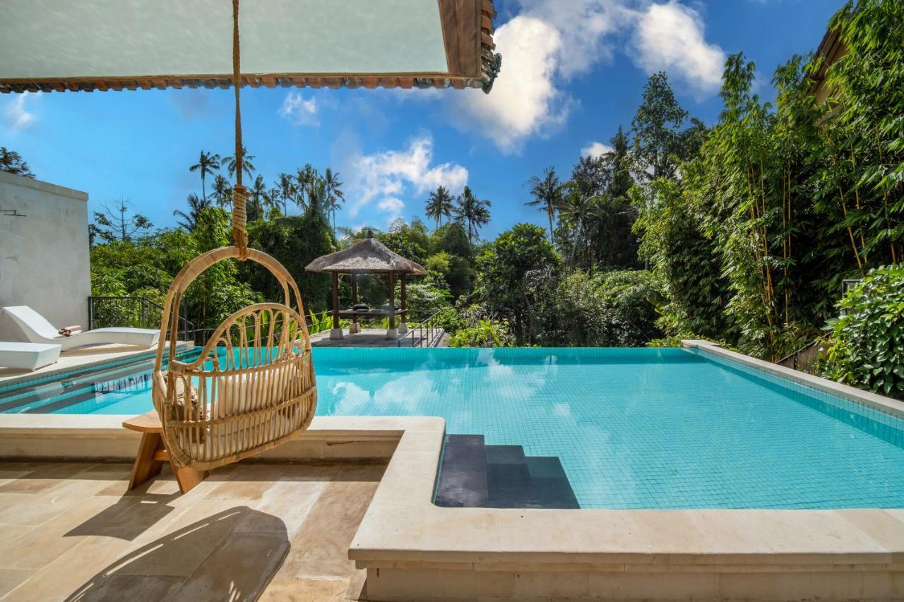 Villa Luxury In Center W/ Natural Pool La Bohemia *