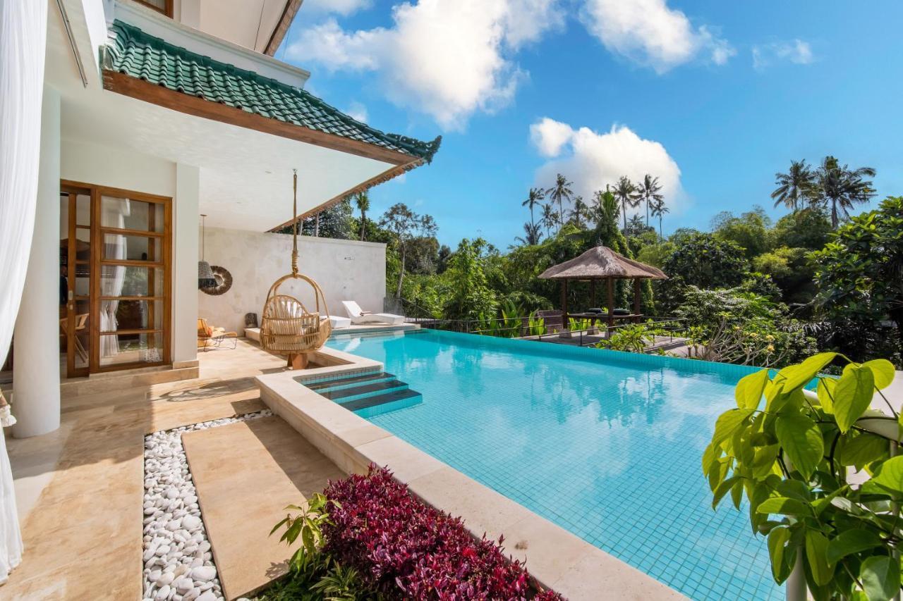 विला Luxury In Center W/ Natural Pool La Bohemia